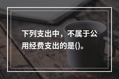 下列支出中，不属于公用经费支出的是()。