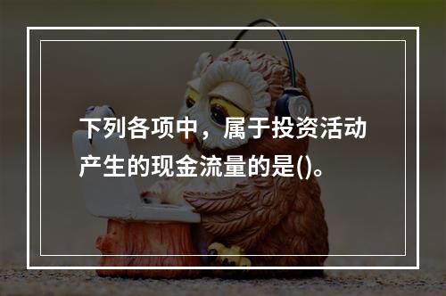 下列各项中，属于投资活动产生的现金流量的是()。