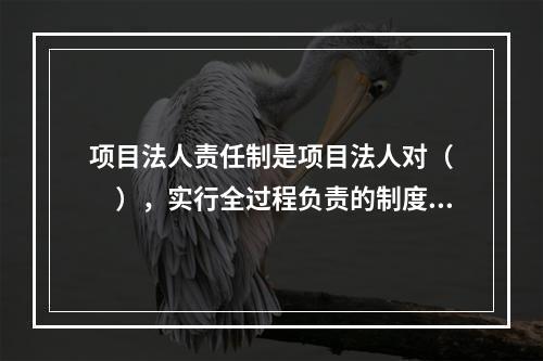 项目法人责任制是项目法人对（　　），实行全过程负责的制度。