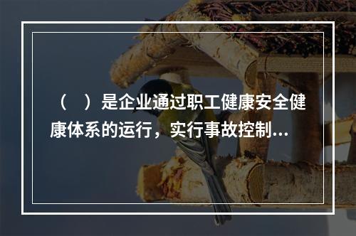 （　）是企业通过职工健康安全健康体系的运行，实行事故控制的开