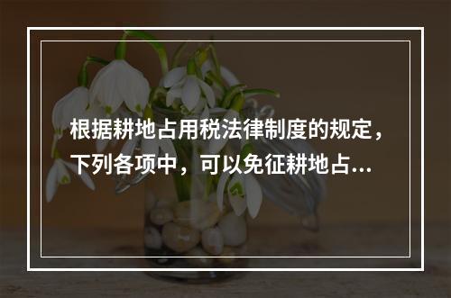 根据耕地占用税法律制度的规定，下列各项中，可以免征耕地占用税