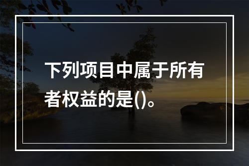 下列项目中属于所有者权益的是()。