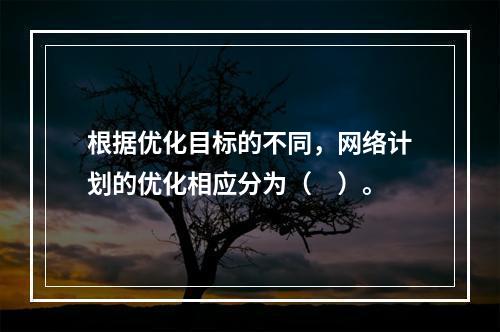 根据优化目标的不同，网络计划的优化相应分为（　）。