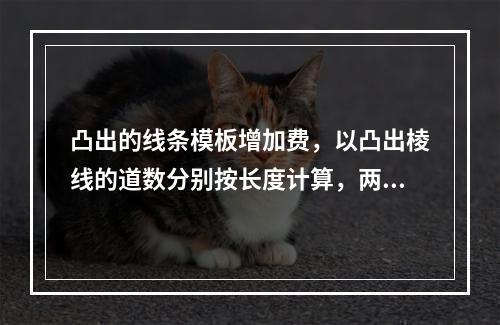 凸出的线条模板增加费，以凸出棱线的道数分别按长度计算，两条及