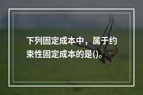 下列固定成本中，属于约束性固定成本的是()。