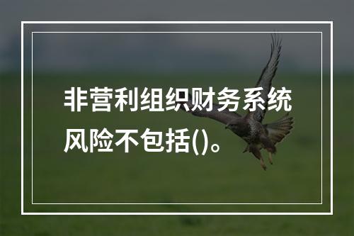 非营利组织财务系统风险不包括()。