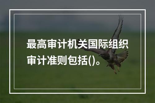 最高审计机关国际组织审计准则包括()。