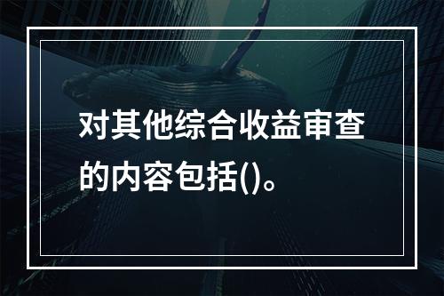 对其他综合收益审查的内容包括()。