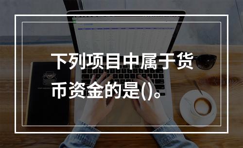 下列项目中属于货币资金的是()。