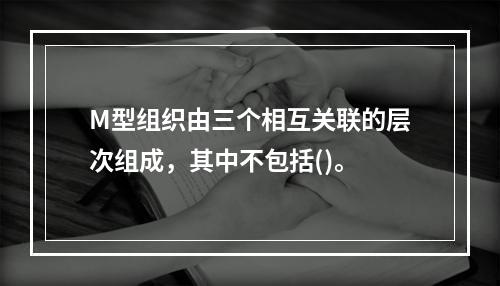 M型组织由三个相互关联的层次组成，其中不包括()。