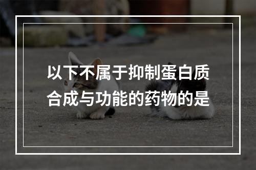 以下不属于抑制蛋白质合成与功能的药物的是