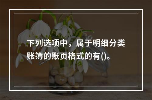 下列选项中，属于明细分类账簿的账页格式的有()。