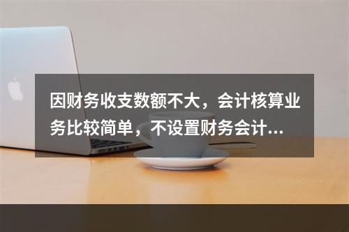 因财务收支数额不大，会计核算业务比较简单，不设置财务会计机构