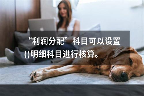 “利润分配”科目可以设置()明细科目进行核算。