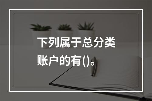 下列属于总分类账户的有()。