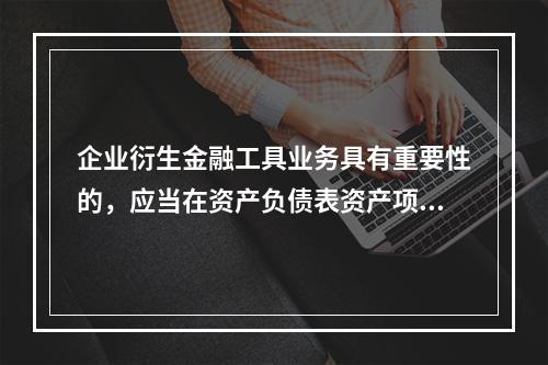 企业衍生金融工具业务具有重要性的，应当在资产负债表资产项下“