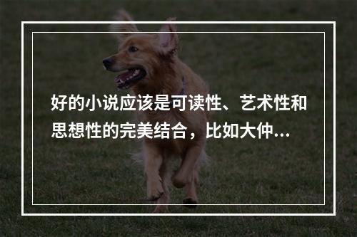 好的小说应该是可读性、艺术性和思想性的完美结合，比如大仲马