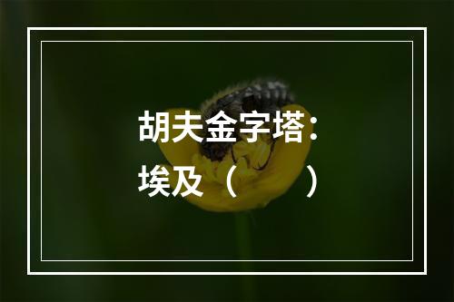 胡夫金字塔：埃及（　　）