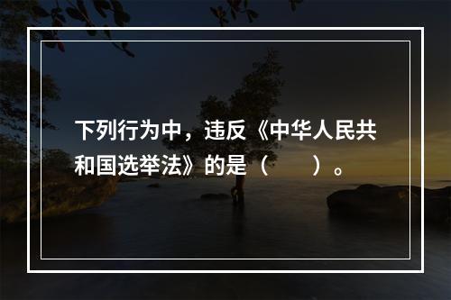 下列行为中，违反《中华人民共和国选举法》的是（　　）。