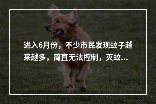 进入6月份，不少市民发现蚊子越来越多，简直无法控制，灭蚊剂