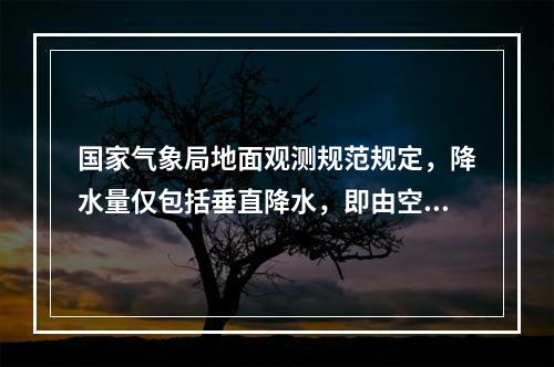 国家气象局地面观测规范规定，降水量仅包括垂直降水，即由空中降