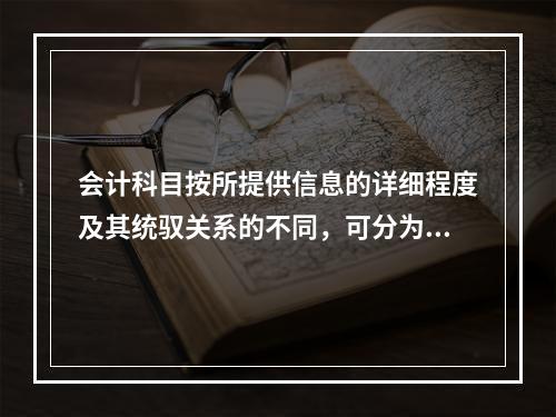 会计科目按所提供信息的详细程度及其统驭关系的不同，可分为（