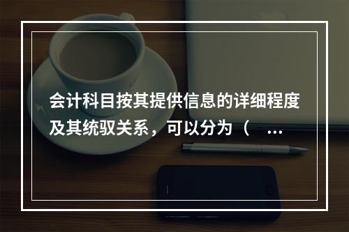 会计科目按其提供信息的详细程度及其统驭关系，可以分为（　　）