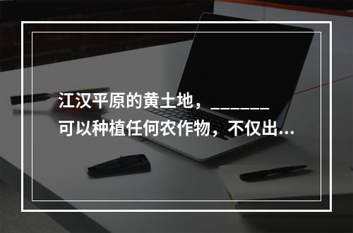 江汉平原的黄土地，______可以种植任何农作物，不仅出产