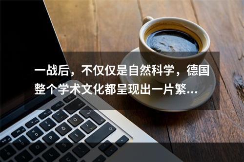 一战后，不仅仅是自然科学，德国整个学术文化都呈现出一片繁荣