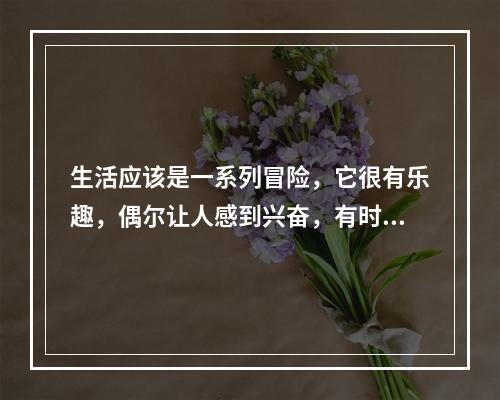 生活应该是一系列冒险，它很有乐趣，偶尔让人感到兴奋，有时却