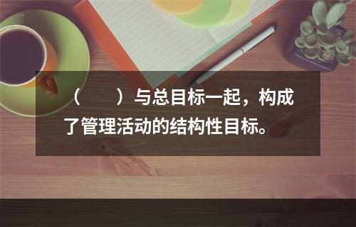 （　　）与总目标一起，构成了管理活动的结构性目标。