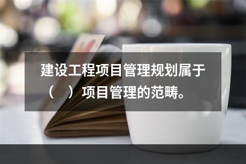 建设工程项目管理规划属于（　）项目管理的范畴。