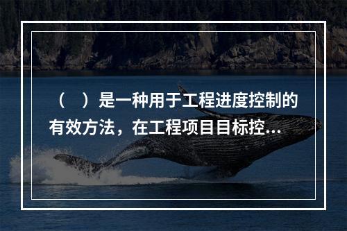 （　）是一种用于工程进度控制的有效方法，在工程项目目标控制中