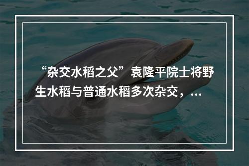 “杂交水稻之父”袁隆平院士将野生水稻与普通水稻多次杂交，培育