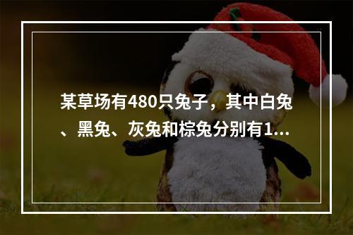 某草场有480只兔子，其中白兔、黑兔、灰兔和棕兔分别有160