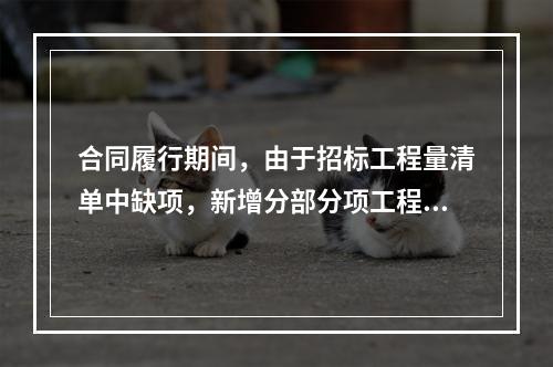 合同履行期间，由于招标工程量清单中缺项，新增分部分项工程清单