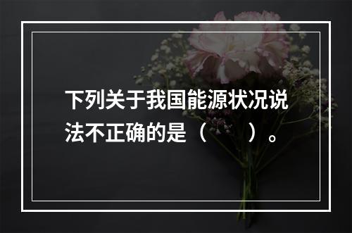 下列关于我国能源状况说法不正确的是（　　）。