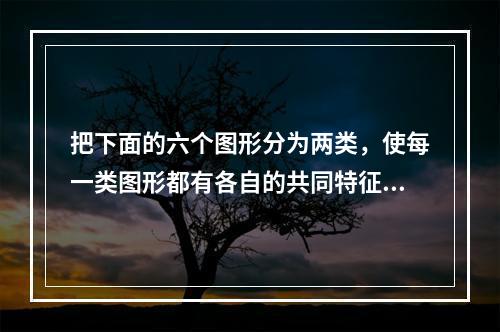 把下面的六个图形分为两类，使每一类图形都有各自的共同特征或