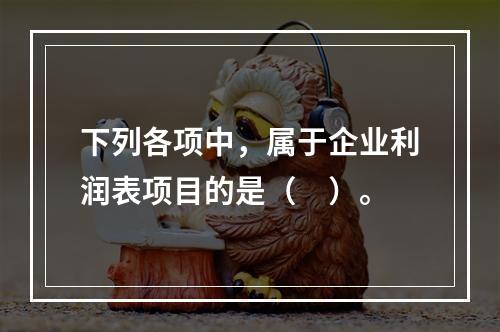 下列各项中，属于企业利润表项目的是（　）。