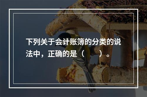 下列关于会计账簿的分类的说法中，正确的是（　　）。