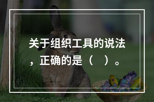 关于组织工具的说法，正确的是（　）。