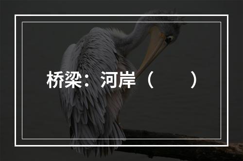 桥梁：河岸（　　）