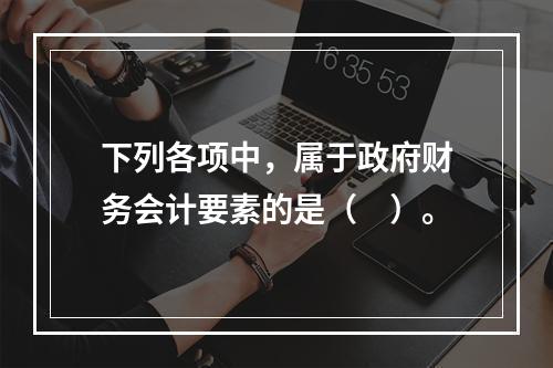 下列各项中，属于政府财务会计要素的是（　）。