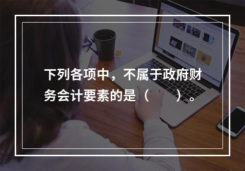 下列各项中，不属于政府财务会计要素的是（　　）。