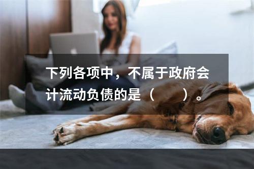 下列各项中，不属于政府会计流动负债的是（　　）。