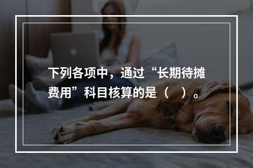 下列各项中，通过“长期待摊费用”科目核算的是（　）。