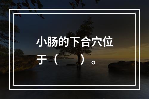 小肠的下合穴位于（　　）。