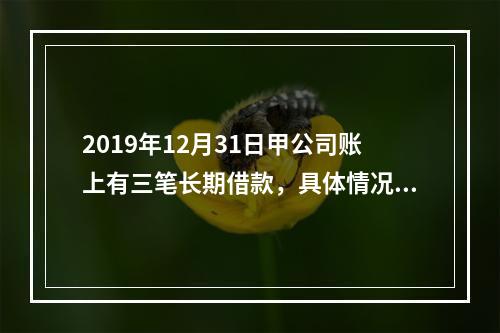 2019年12月31日甲公司账上有三笔长期借款，具体情况如下