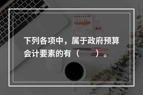 下列各项中，属于政府预算会计要素的有（　　）。