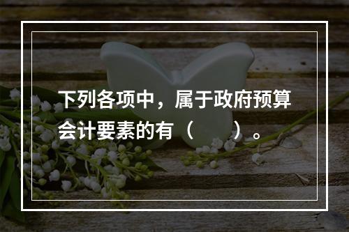 下列各项中，属于政府预算会计要素的有（　　）。